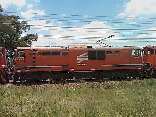 Close-up of the middle unit, E1267, of 3 E-units waiting at a signal south of Redan on 081219 at 12:20.